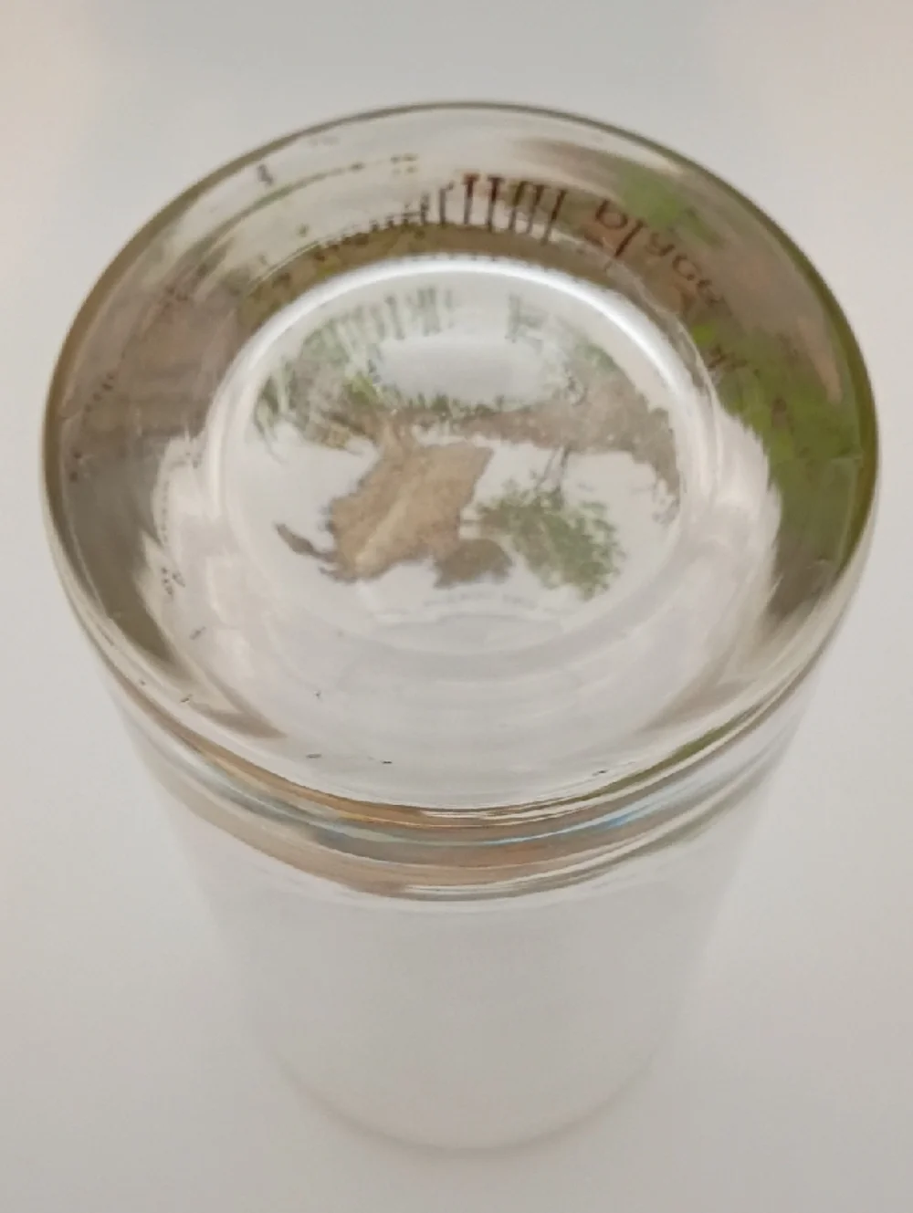 Buy 3 Of The Tumbler Glasses For $22, Get 2 Shorter Glasses Free!